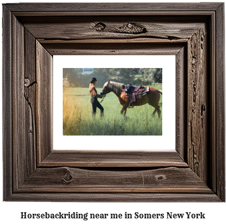 horseback riding near me in Somers, New York